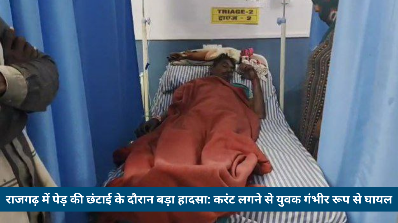 राजगढ़ में पेड़ की छंटाई के दौरान बड़ा हादसा: करंट लगने से युवक गंभीर रूप से घायल